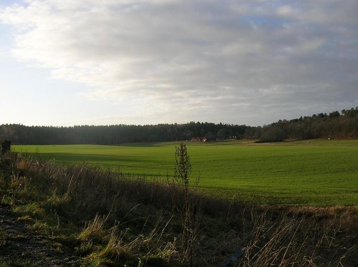 2006-11-26007.jpg ht=542