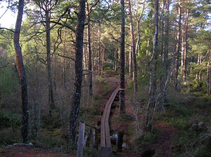 2006-11-26014.jpg ht=542
