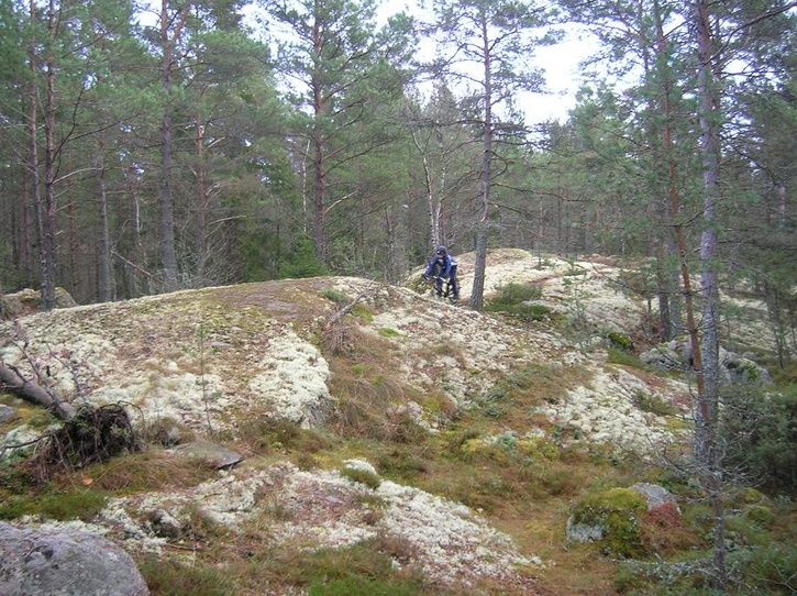 2006-12-03004.jpg ht=542