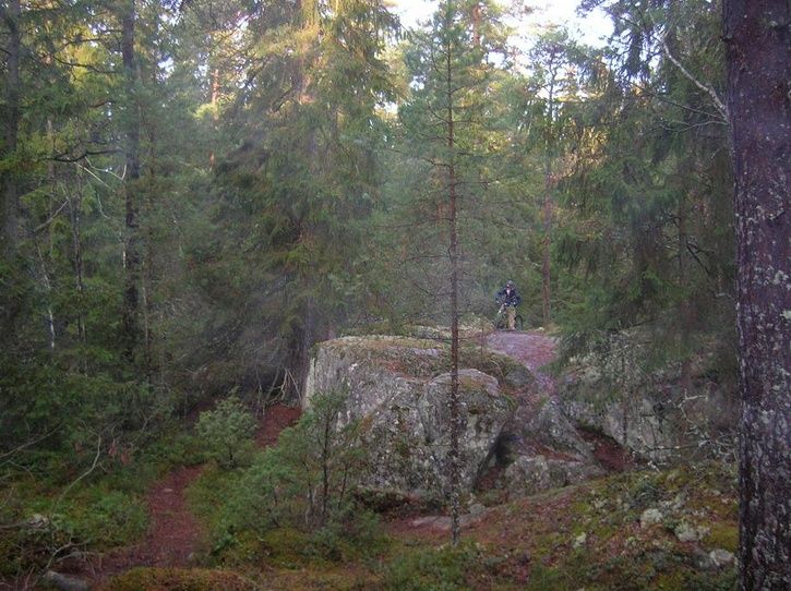 2006-12-09012.jpg ht=542