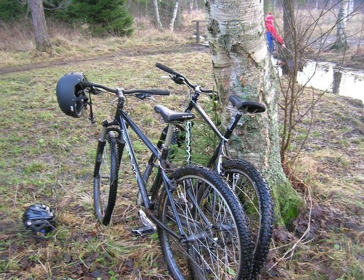 2006-12-10006.jpg ht=548