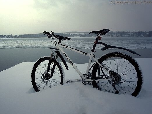 20060121_Fluffigt_v_rre-007sol.jpg