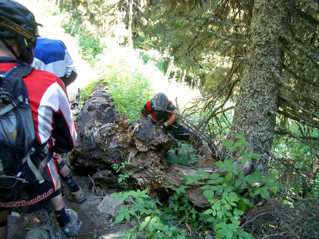 20060808-028-medium.jpg