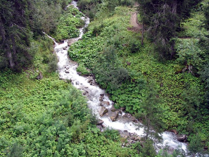 20060830_0028.jpg