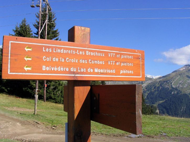 20060831_0060.jpg