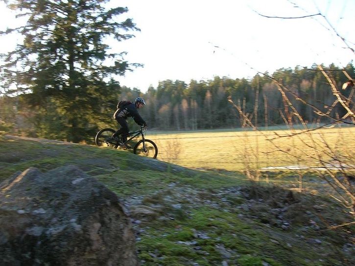 2007-01-03013.jpg ht=542