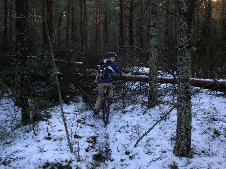 2007-01-14002.jpg ht=543