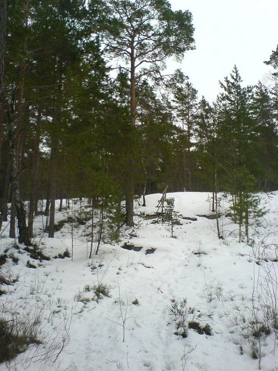2007-02-18010.jpg ht=725