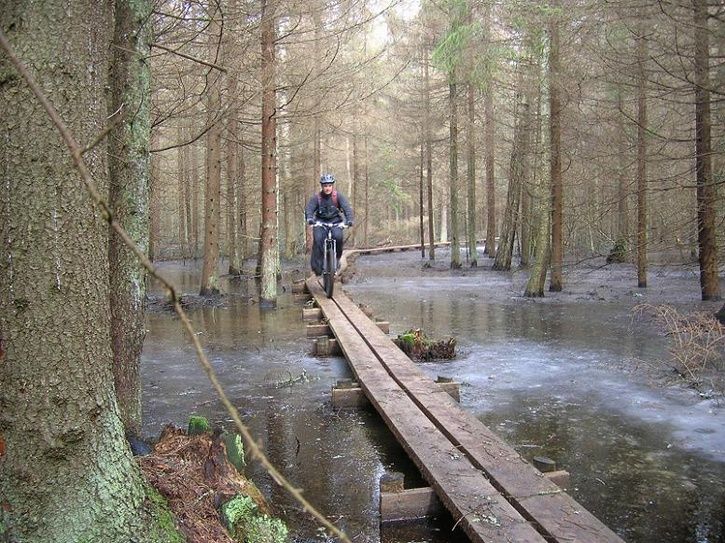 2007-03-25015.jpg ht=543