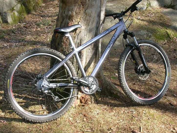 2007-04-01019.JPG ht=543