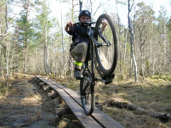 2007-04-07003.jpg ht=543