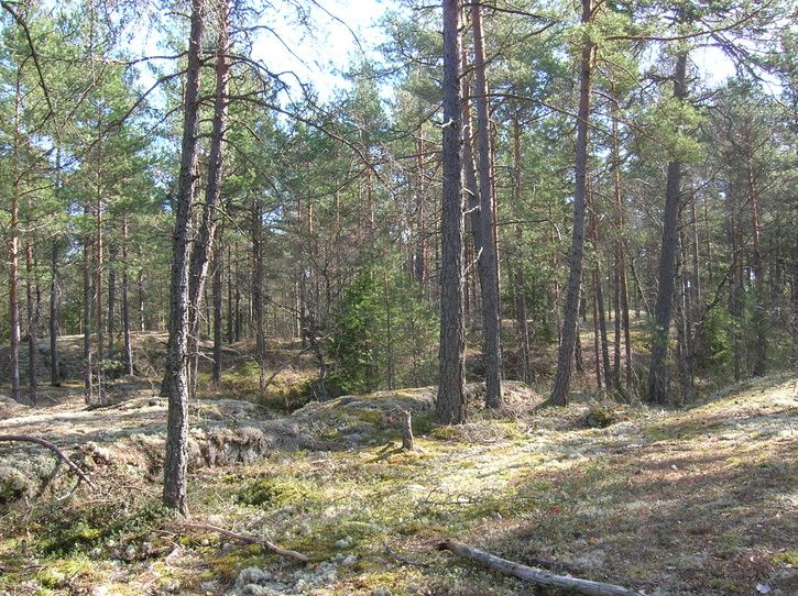 2007-04-07017.jpg ht=542