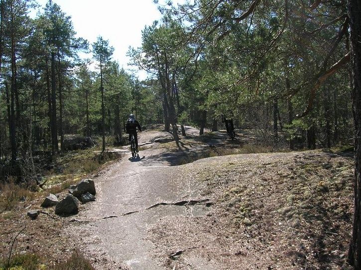 2007-04-08017.jpg ht=543