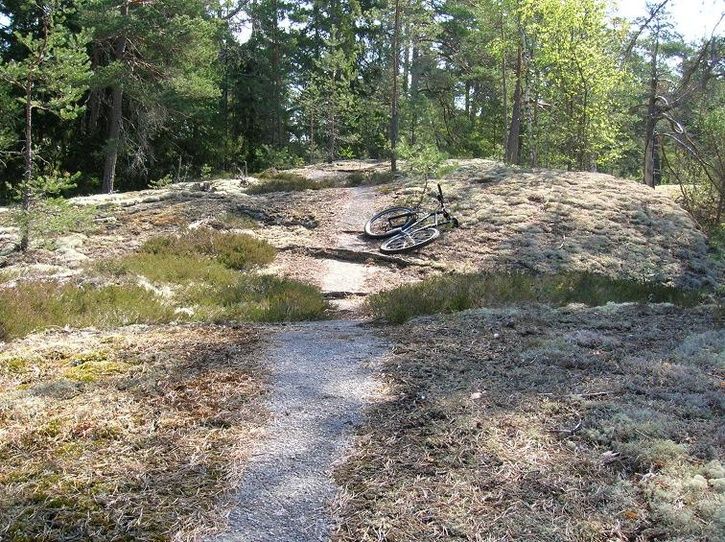 2007-05-06040.jpg ht=542