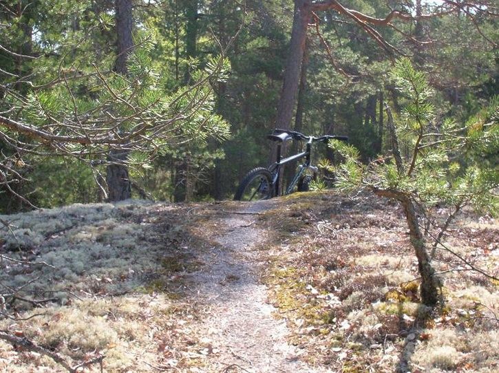 2007-05-06042.jpg ht=542