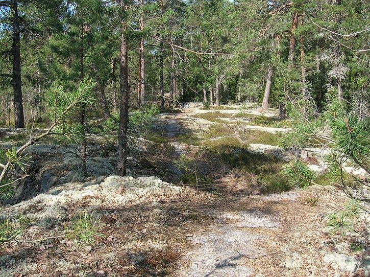 2007-05-06047.jpg ht=542