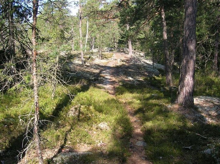 2007-05-06048.jpg ht=542