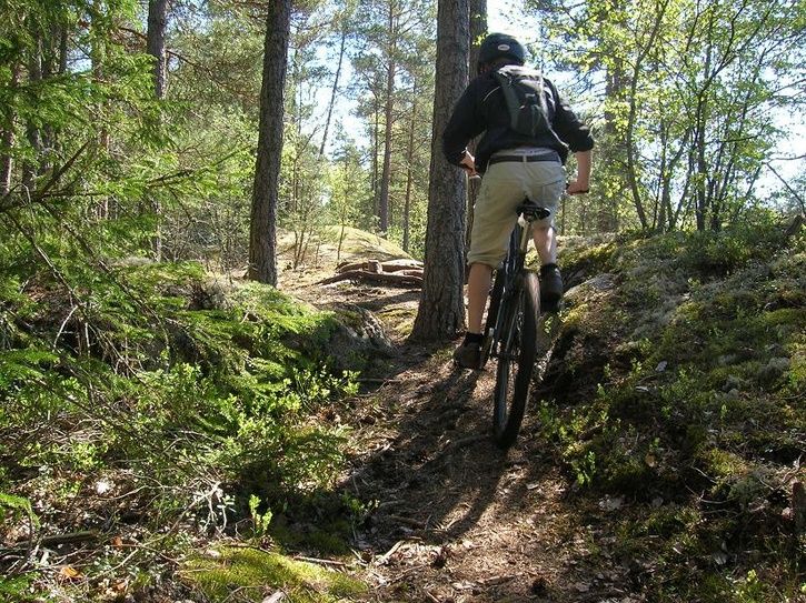 2007-05-12014.jpg ht=543