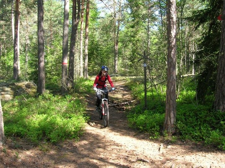 2007-05-20002.jpg ht=543