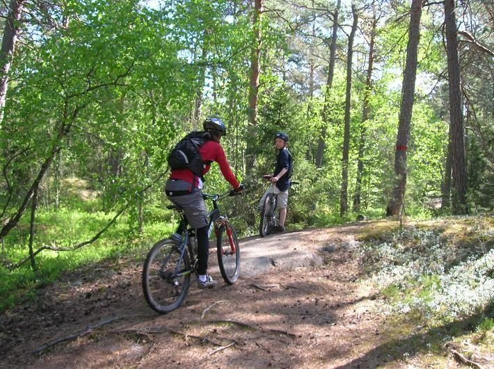 2007-05-20003.jpg ht=531