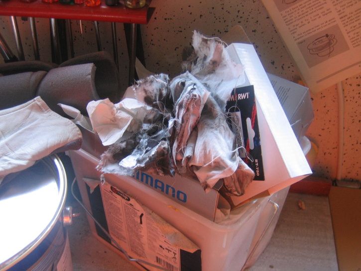 2007-05-27_011.jpg ht=544