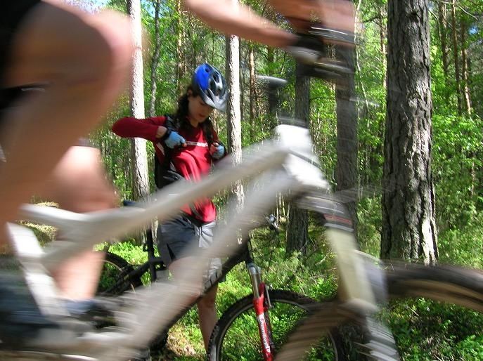 2007-06-01007.jpg ht=514