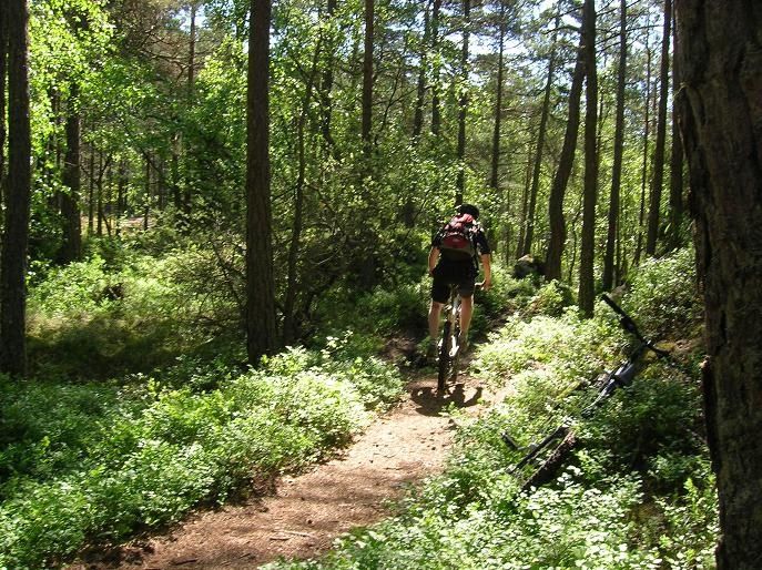 2007-06-01008.jpg ht=514