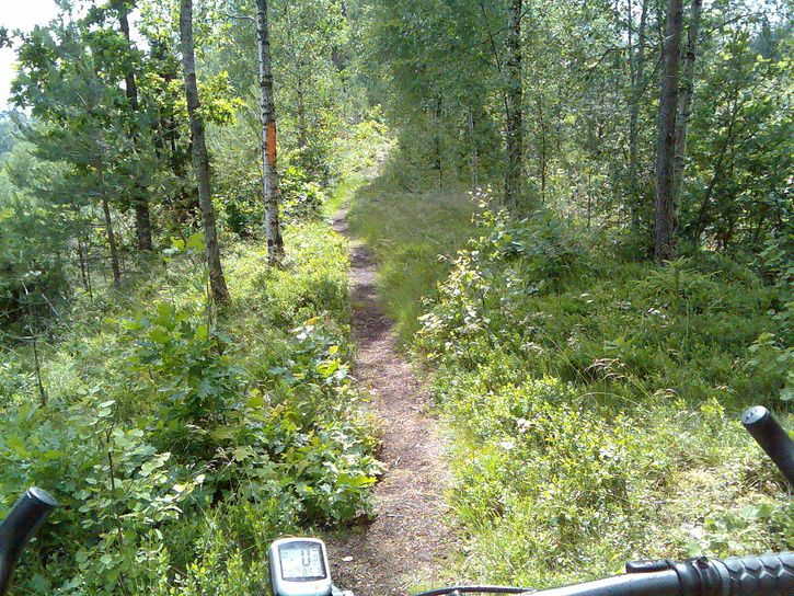 2007-06-17001.jpg ht=544