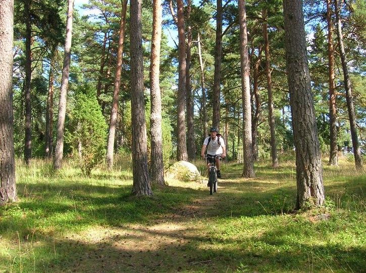 2007-08-05017.jpg ht=542