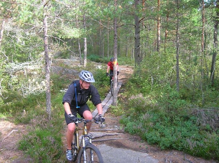 2007-08-25005.jpg ht=542