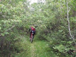 2007-09-16085.jpg ht=235