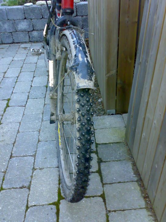 20070110226.jpg ht=725