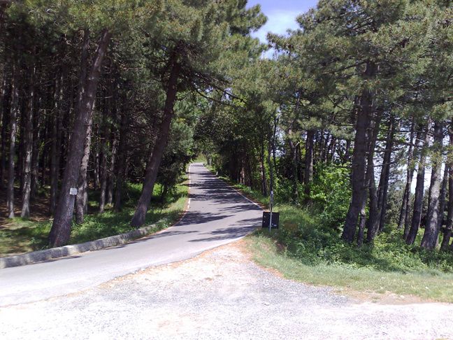 20070508115.jpg ht=486