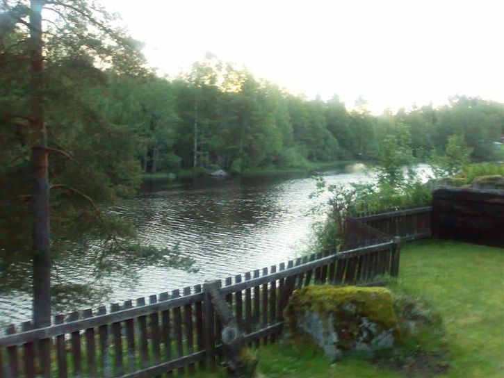 20070601100Medium.jpg ht=544