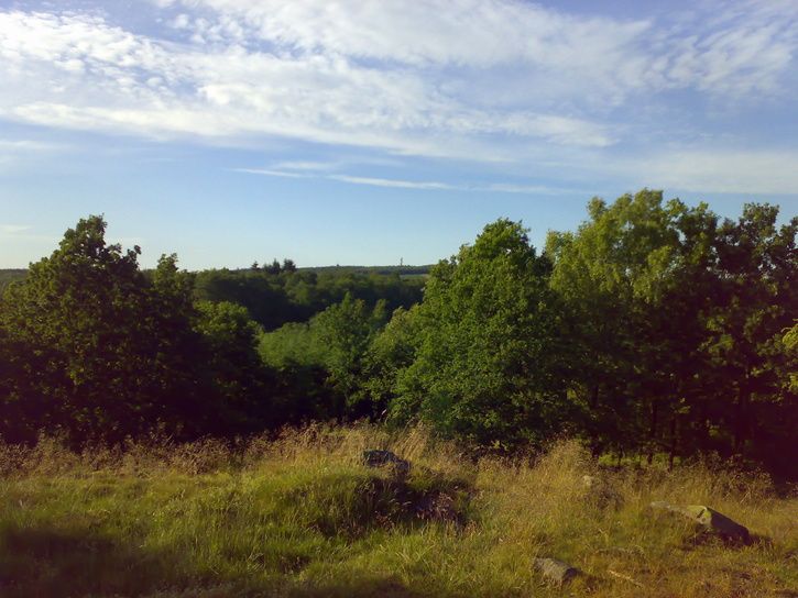 20070614282.jpg ht=544