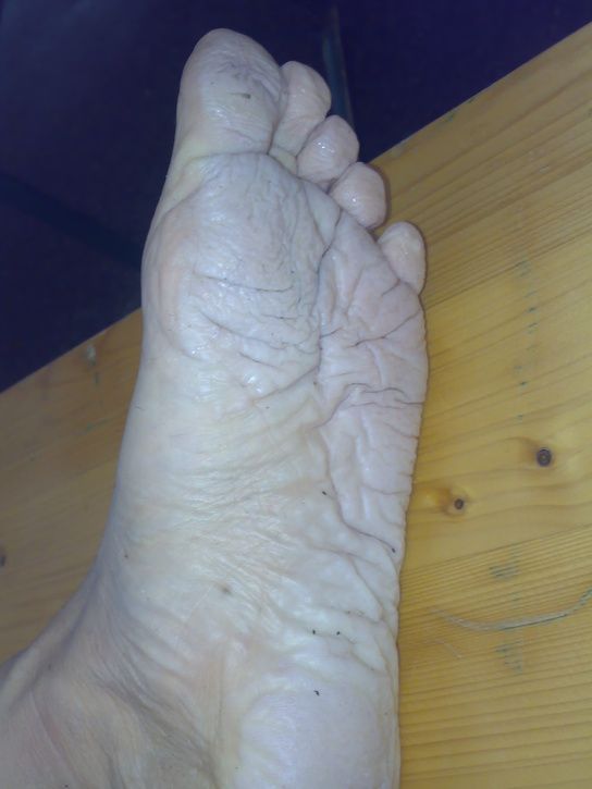 20070823851.jpg ht=725