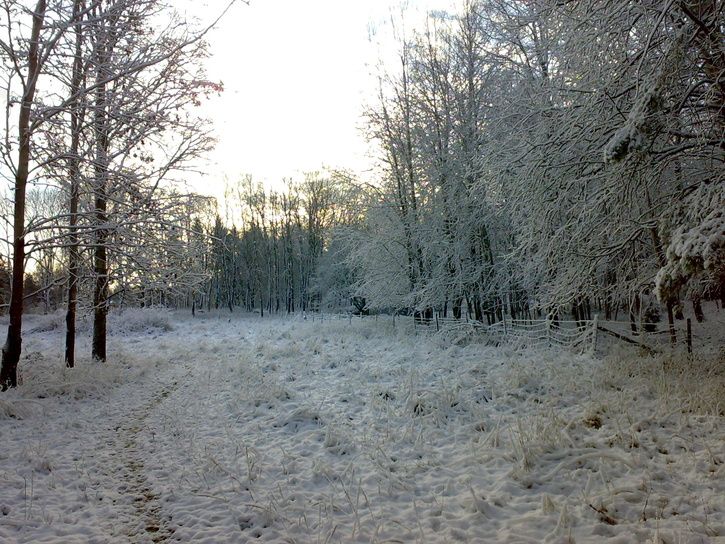 20071110135.jpg ht=544