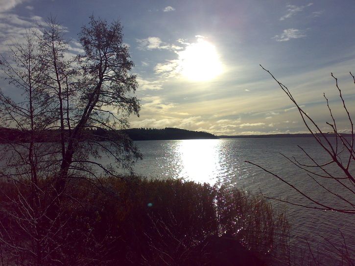 20071110139.jpg ht=544