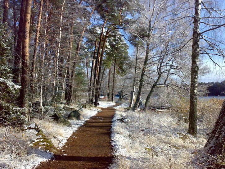 20071110142.jpg ht=544