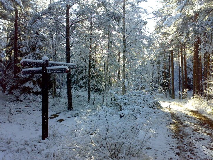 20071110143.jpg ht=544