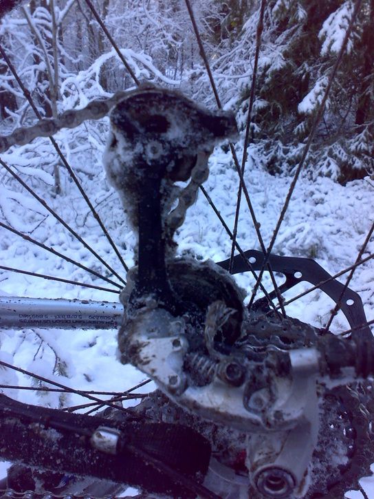 20071110147.jpg ht=725