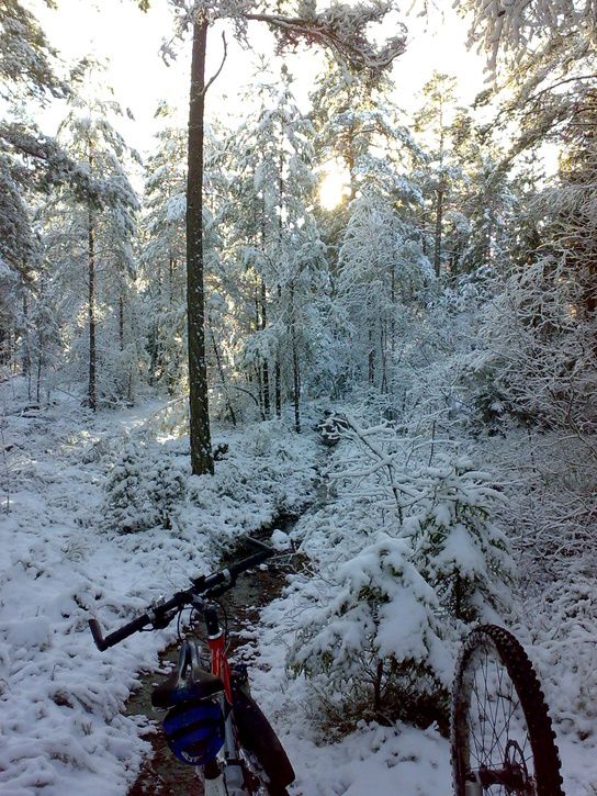 20071110148.jpg ht=725