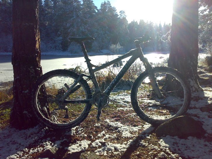 20071110149.jpg ht=544