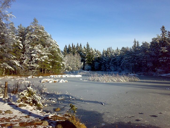 20071110151.jpg ht=544