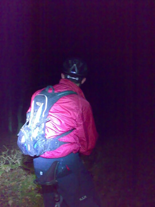 20071120377.jpg ht=725