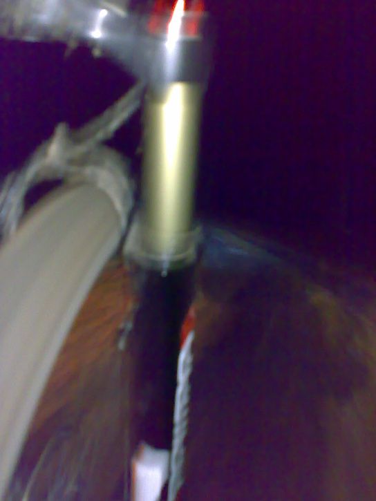 20071120380.jpg ht=725