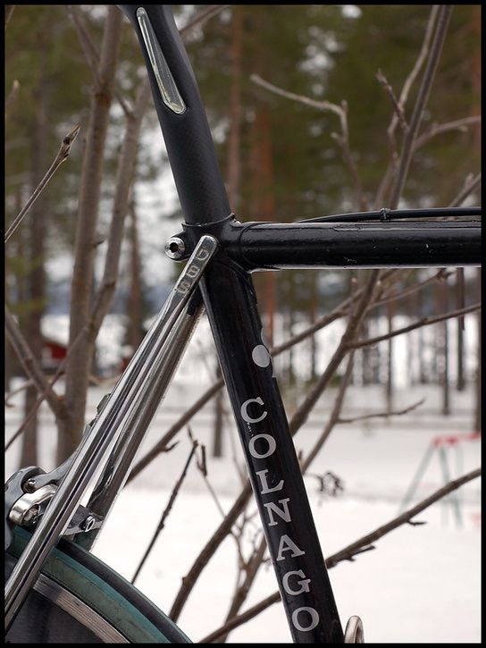 2008-03-16_0011_web.jpg ht=725