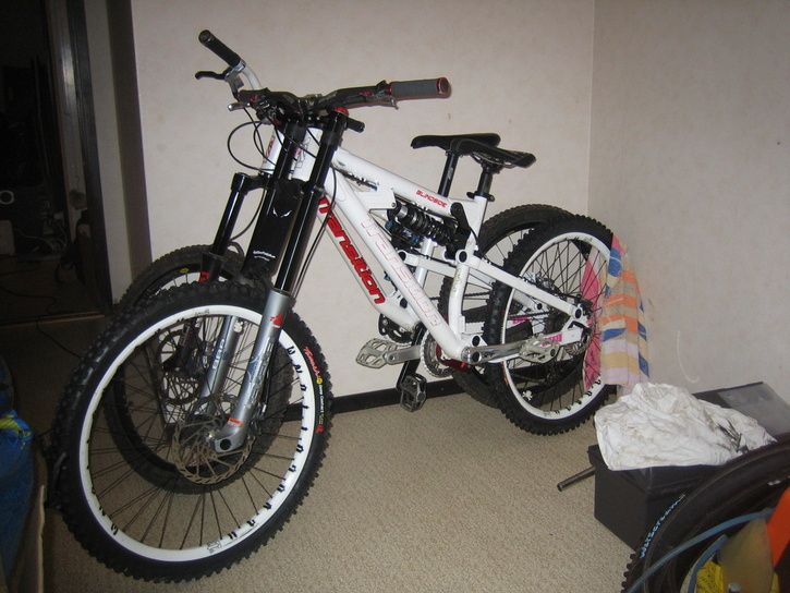 2008-11-04003.jpg ht=544