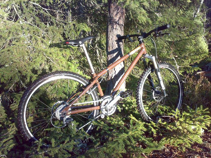 20080113186.h.jpg ht=525