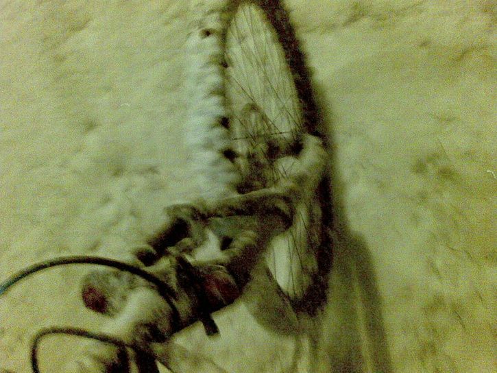 20080202030.jpg ht=544